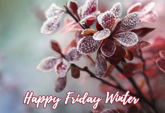 happy friday winter images