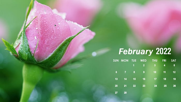 february 2022 calendar desktop wallpaper background download