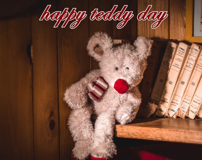 happy Teddy Day 2020 pic hd