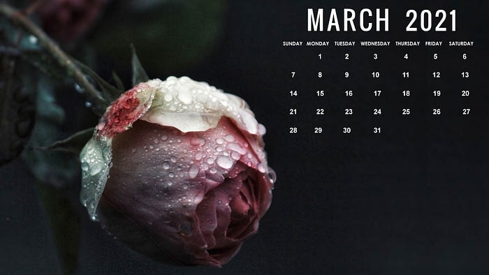 march 2021 calendar desktop wallpaper background download