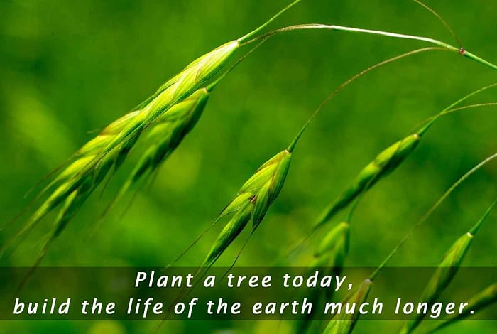 earth day pictures quotes