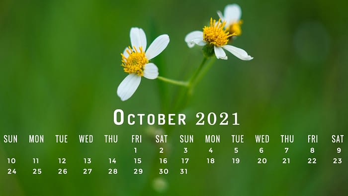 1 october 2021 calendar wallpaper sept pc desktop laptop computer backgrounds