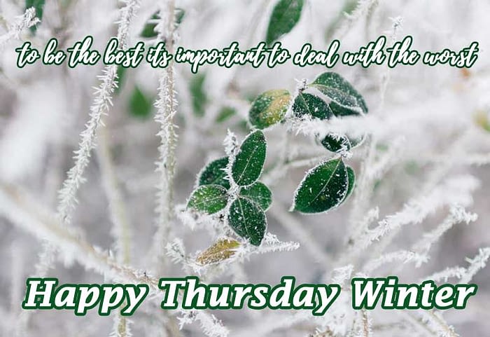 happy thursday winter quotes morning theme scenes