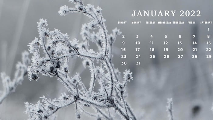 1 january 2022 calendar computer background wallpaper