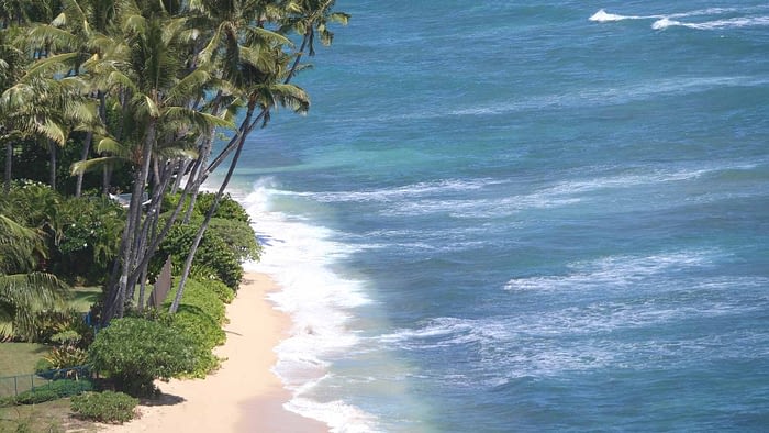 Hawaii beach zoom background 