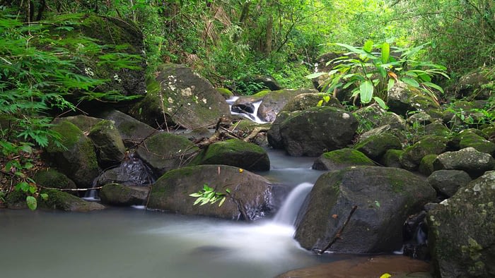 waterfall jungle scenery wallpaper desktop background