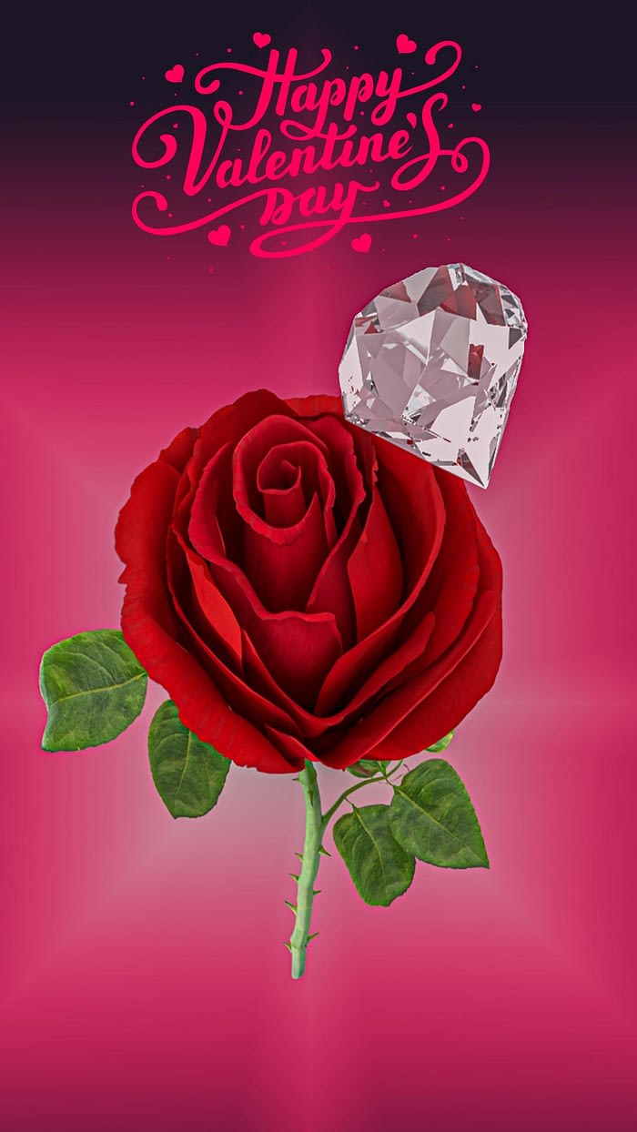 valentines day rose iphone wallpaper